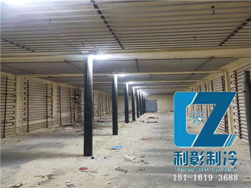 湖南天壹生物科技冷庫(kù)1 湖南天壹生物科技冷庫(kù)1