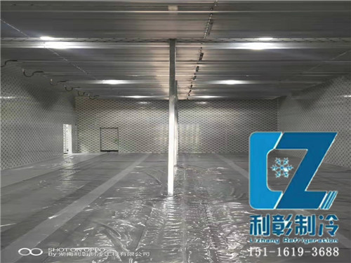 湖南佩達(dá)生物科技冷凍庫3