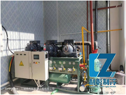 湘西國家農業(yè)園氣調保鮮庫(4)