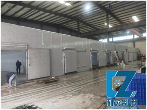 湖南佩達(dá)生物科技二期低溫儲存庫(2)