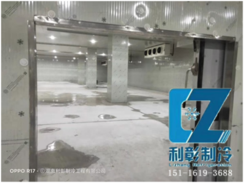 湘潭岳塘國(guó)際保鮮冷庫(kù)1 湘潭岳塘國(guó)際保鮮冷庫(kù)1