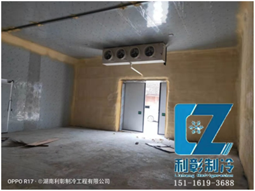 株洲生姜保鮮儲(chǔ)存冷庫(kù)2